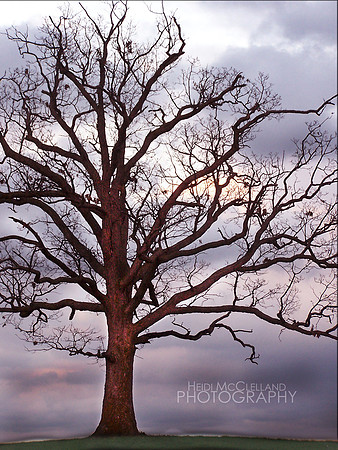 april-22-2006-0171