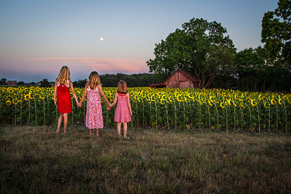 DSC_6352E