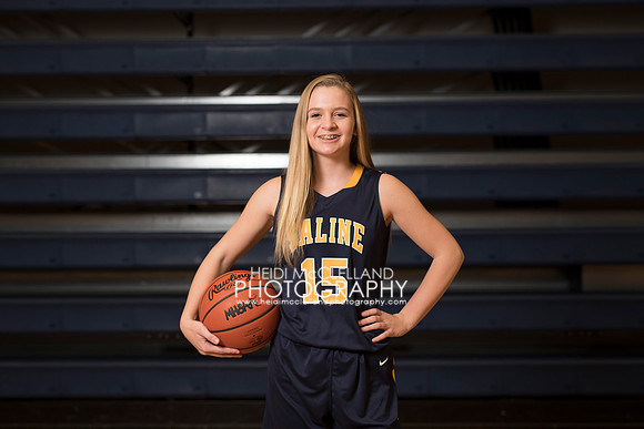 JV 15