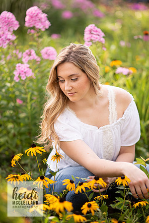 Allie037