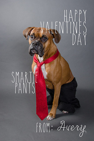 Avery Valentines