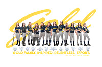2020 A2 Gold