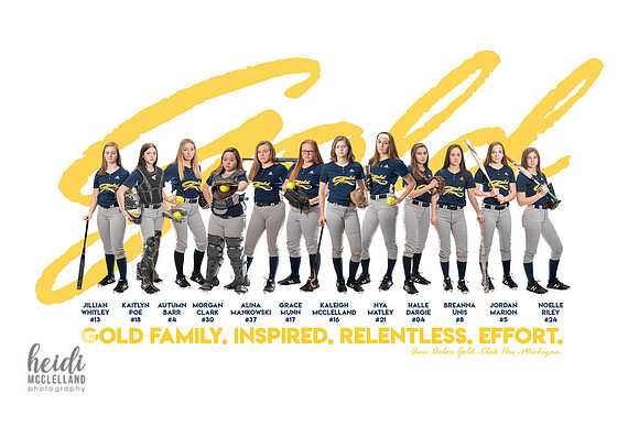A2 Gold TEAM BANNER FINAL